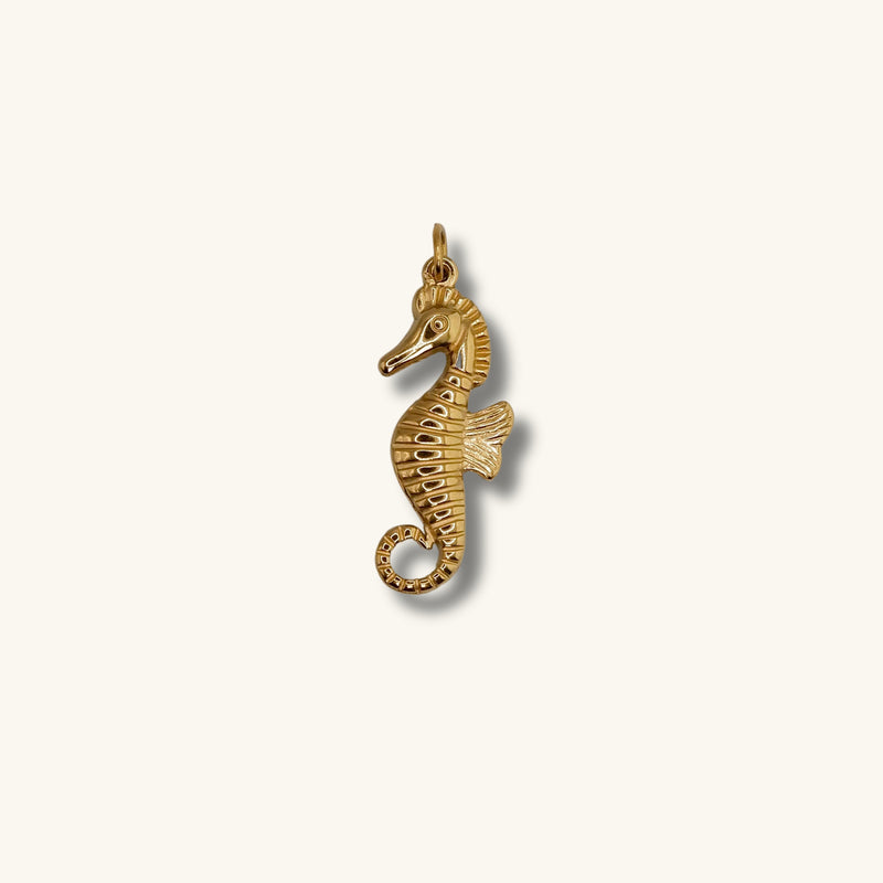 Sea horse Charm