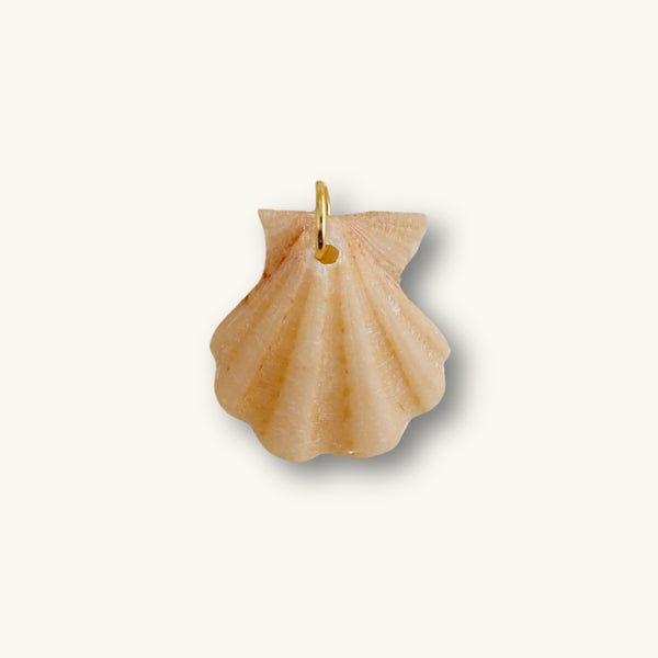 Natural Seashell Charm